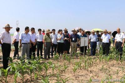 全國農(nóng)技推廣效能提升暨星級服務(wù)創(chuàng)建工作在蒲城縣舉辦